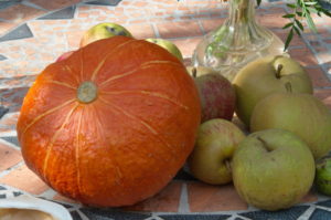 Kürbis und Äpfel - Fotographie: Katharina Hansen-Gluschitz