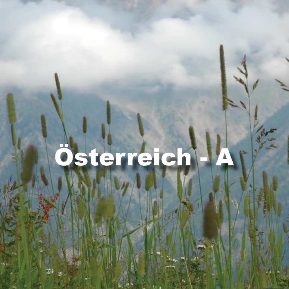 Grampealm in Österreich - Fotographie Katharina Hansen-Gluschitz