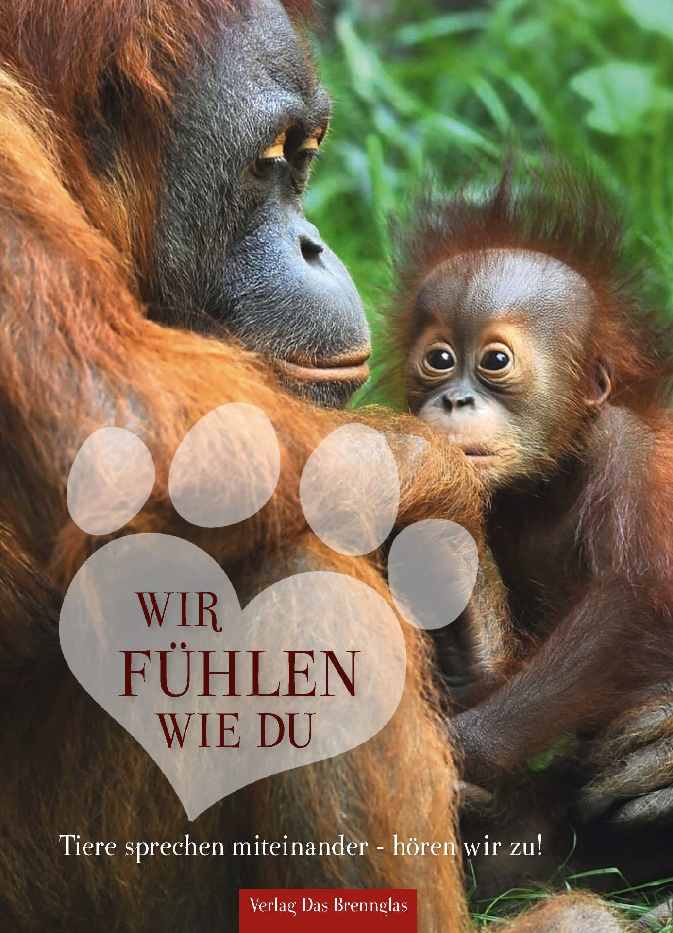 Wir fühlen wie du - Buch