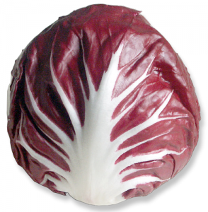 radicchio - Clipground.com